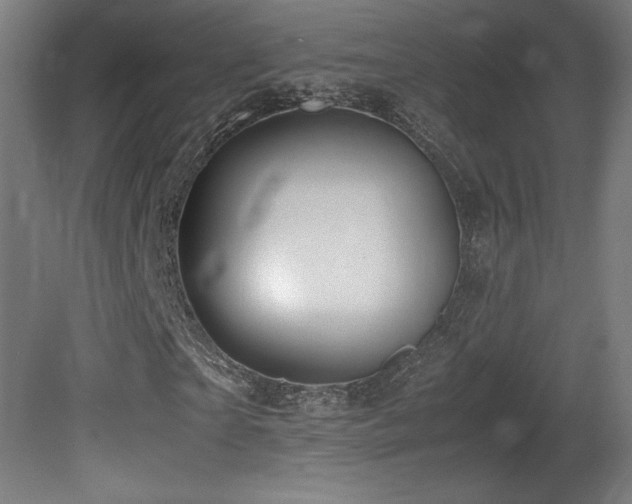 X0000081370865200701111545