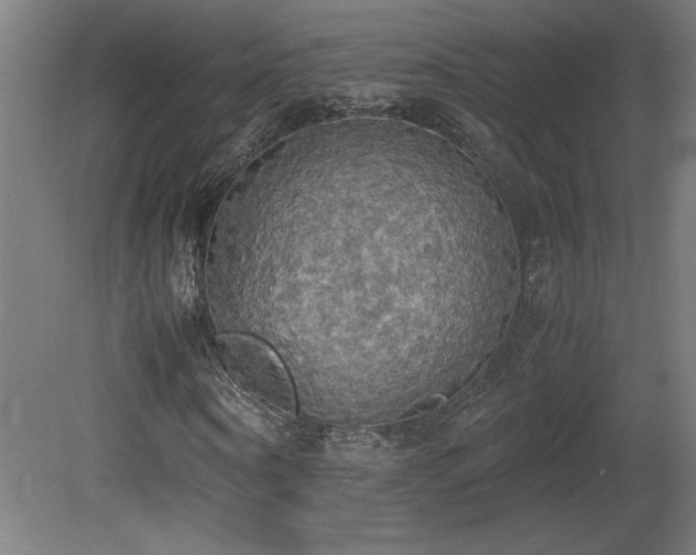 X0000081370866200701111545
