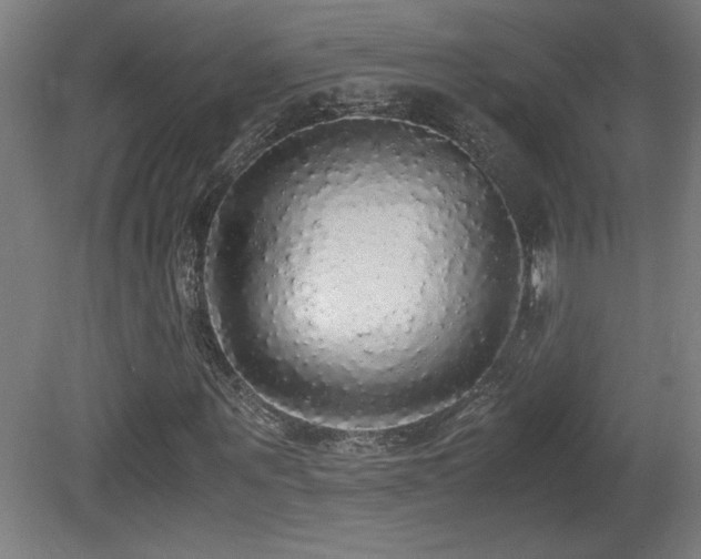 X0000081370867200701111545