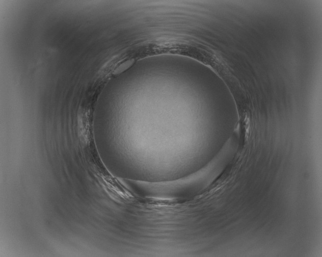 X0000081370868200701111545