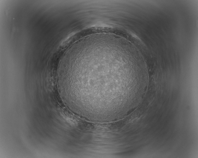 X0000081370870200701111545