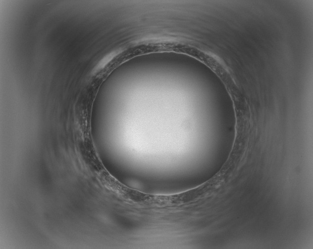 X0000081370871200701111545