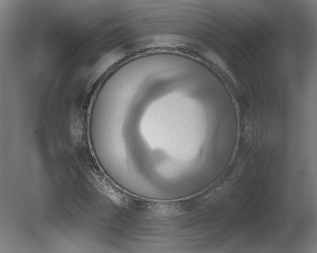 X0000081370874200701111545