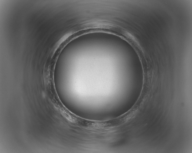 X0000081370875200701111545