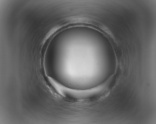 X0000081370877200701111545