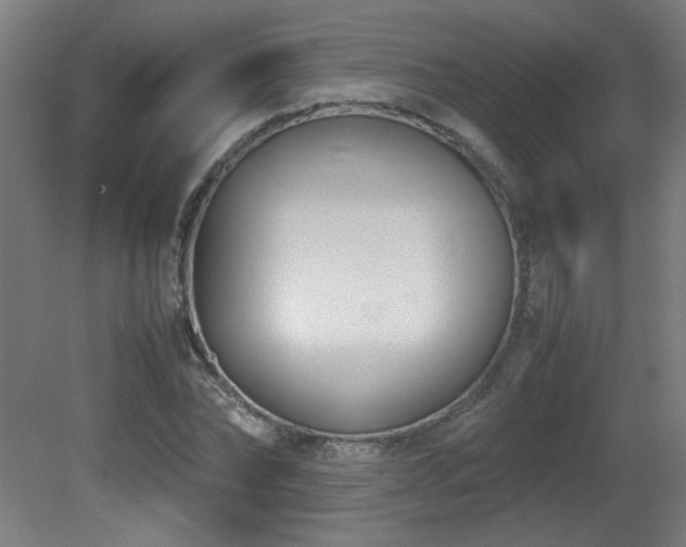 X0000081370878200701111545