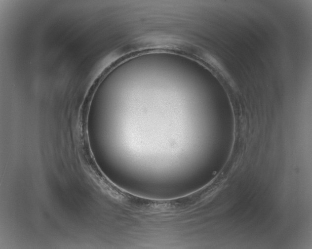 X0000081370883200701111545