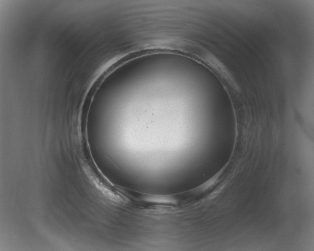 X0000081370884200701111545