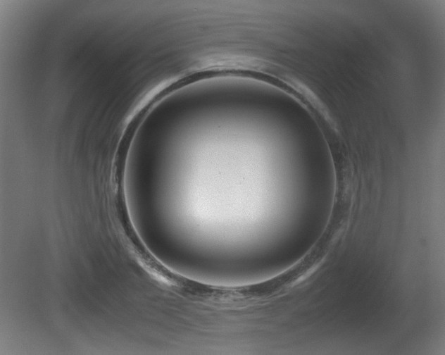 X0000081370885200701111545