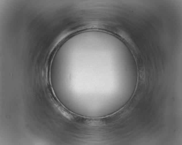 X0000081370886200701111545