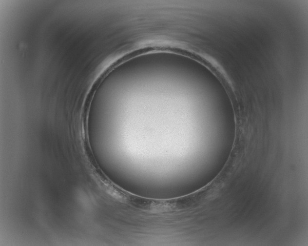 X0000081370887200701111545