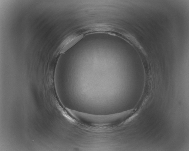 X0000081370889200701111545