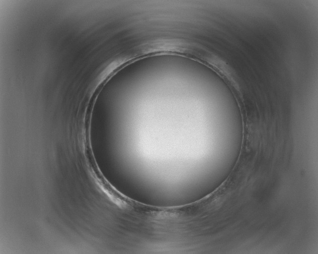 X0000081370890200701111545