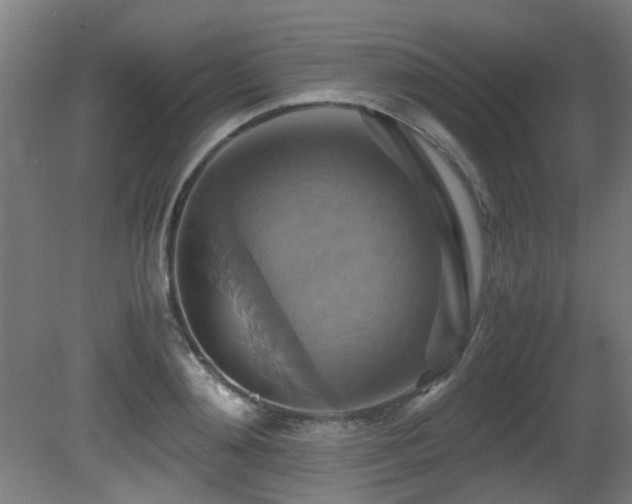 X0000081370892200701111545