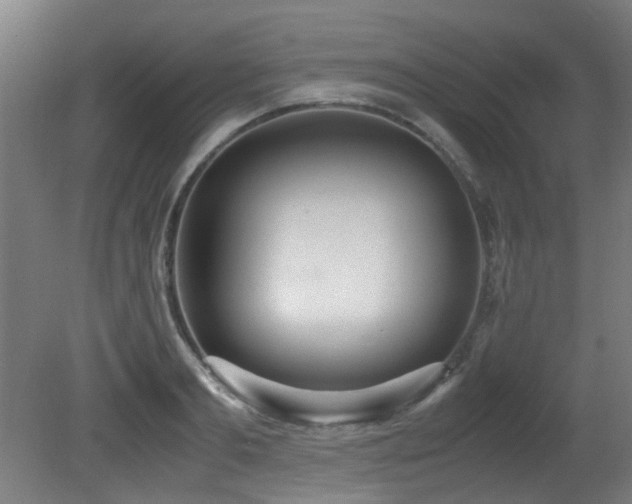 X0000081370893200701111545