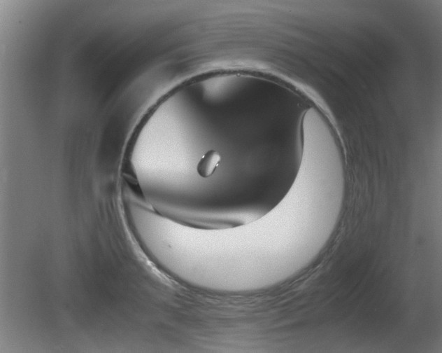 X0000081370895200701111545