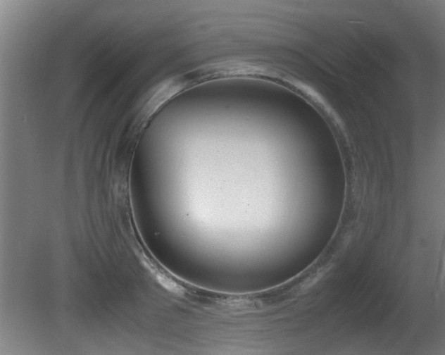 X0000081370897200701111545