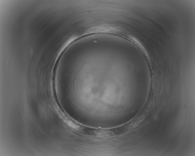 X0000081370899200701111545