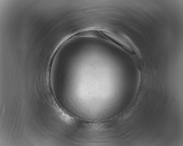 X0000081370900200701111545