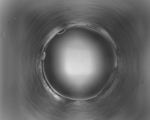 X0000081370906200701111544