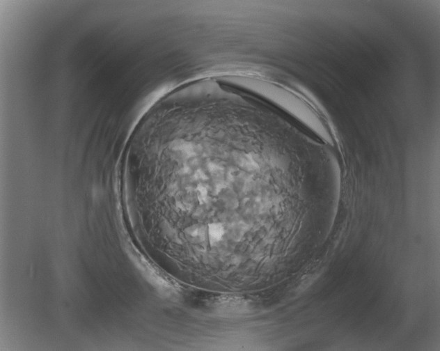 X0000081370907200701111544