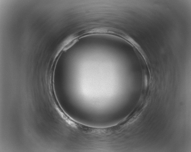 X0000081370909200701111544