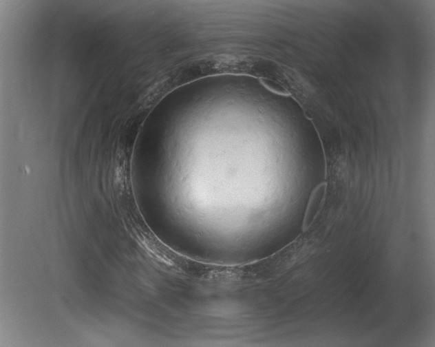 X0000081370914200701111544