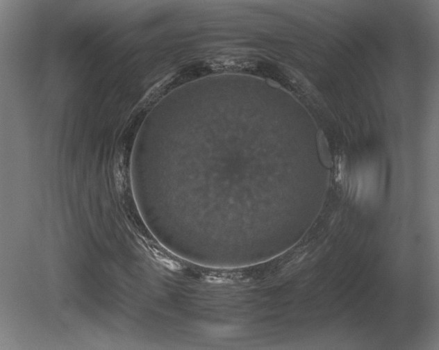 X0000081370915200701111544