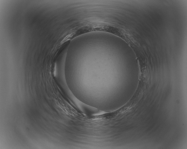 X0000081370916200701111544