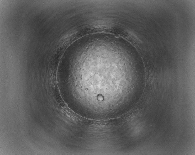 X0000081370917200701111544