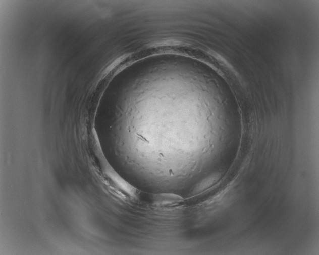 X0000081370921200701111544