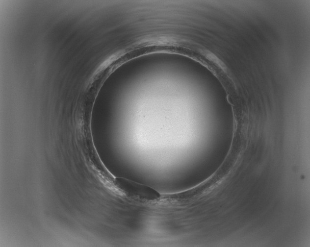 X0000081370922200701111544