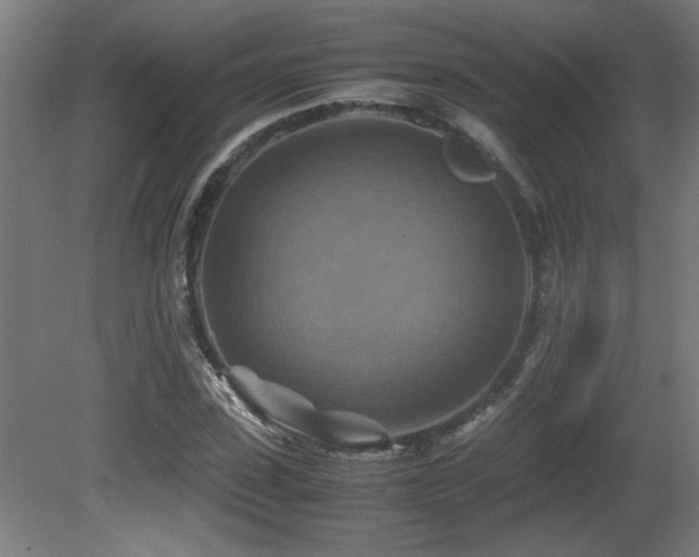 X0000081370923200701111544
