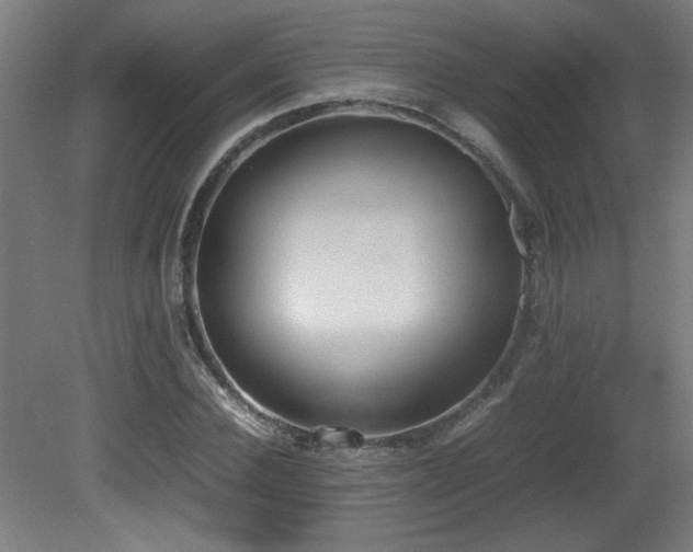 X0000081370924200701111544