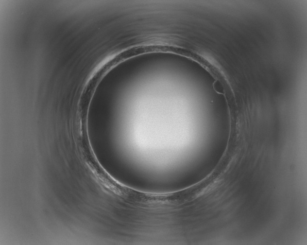 X0000081370925200701111544
