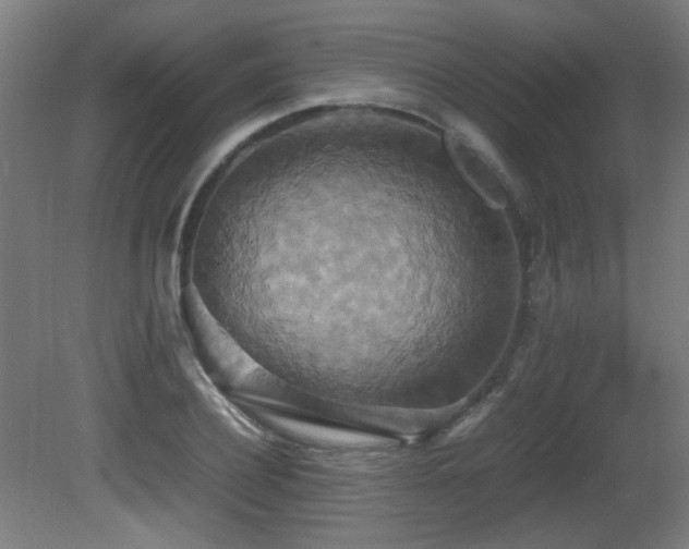 X0000081370932200701111544