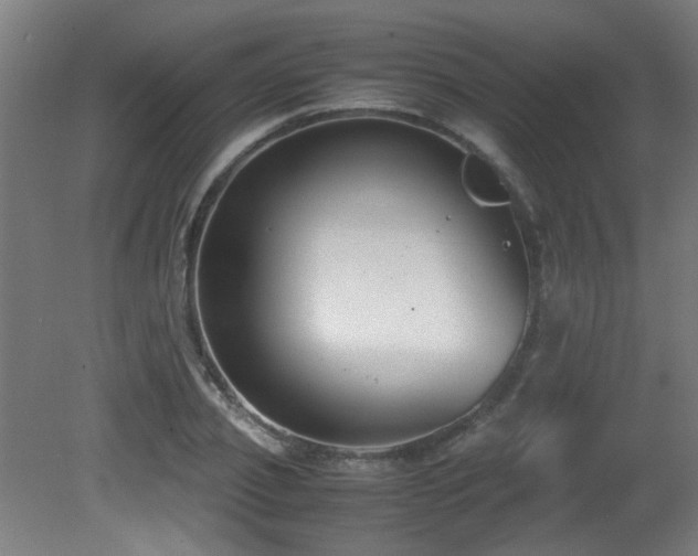 X0000081370933200701111544