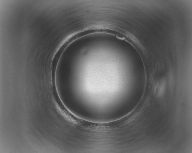 X0000081370934200701111544