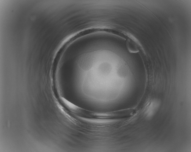 X0000081370935200701111544