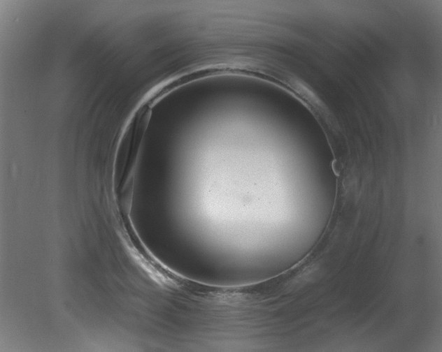 X0000081370940200701111544