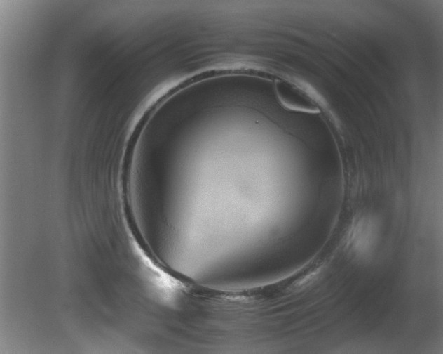 X0000081370943200701111544