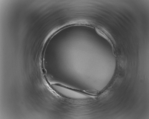 X0000081370944200701111544