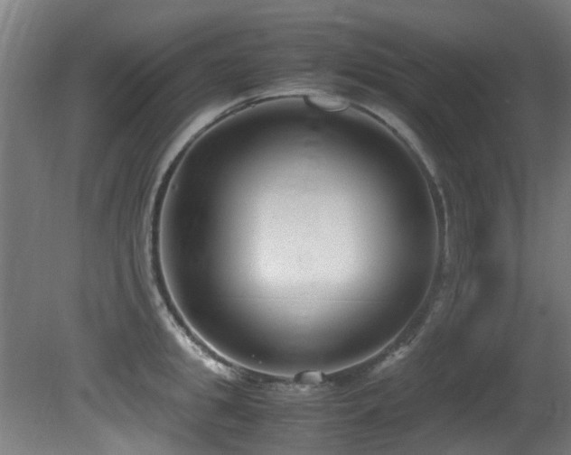 X0000081370949200701111544