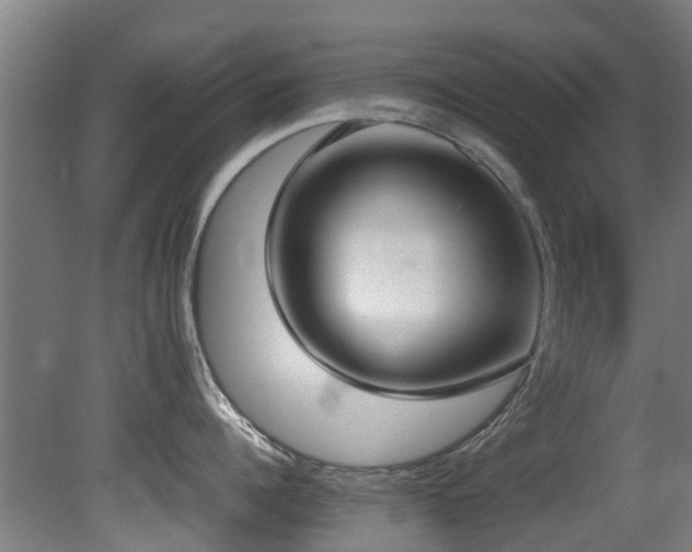 X0000081370960200701111544