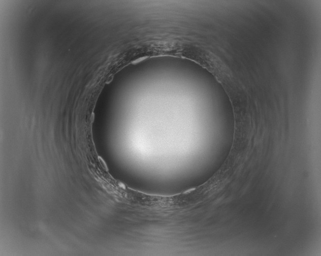 X0000081370961200701111544