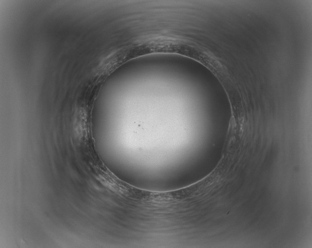 X0000081370964200701111543