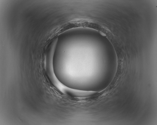 X0000081370965200701111543