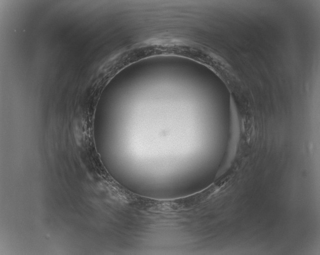 X0000081370966200701111543