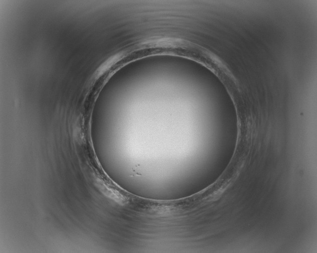 X0000081370970200701111543