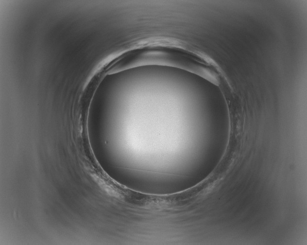 X0000081370973200701111543